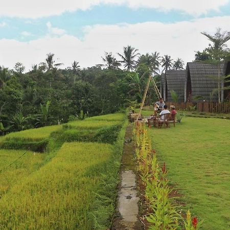 Hotel Omah Bapak Ijen Eco House Licin Exterior foto