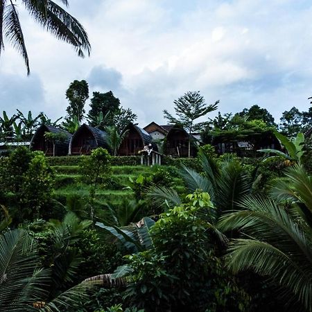 Hotel Omah Bapak Ijen Eco House Licin Exterior foto