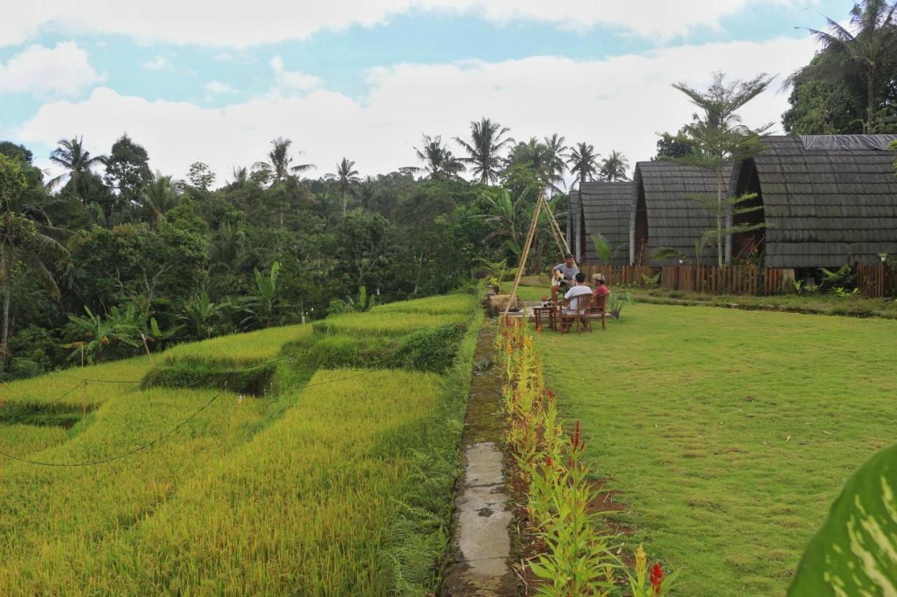 Hotel Omah Bapak Ijen Eco House Licin Exterior foto