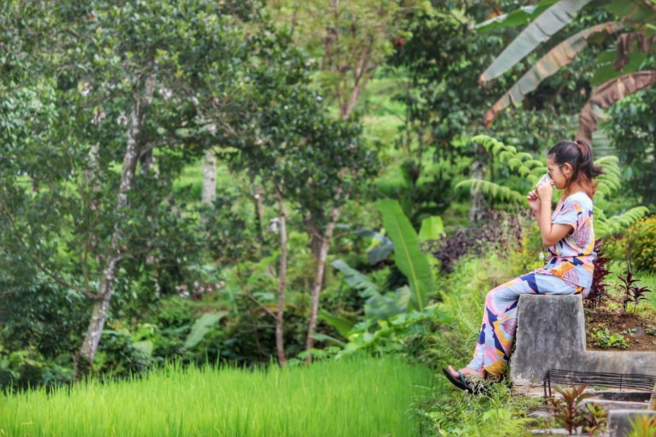 Hotel Omah Bapak Ijen Eco House Licin Exterior foto