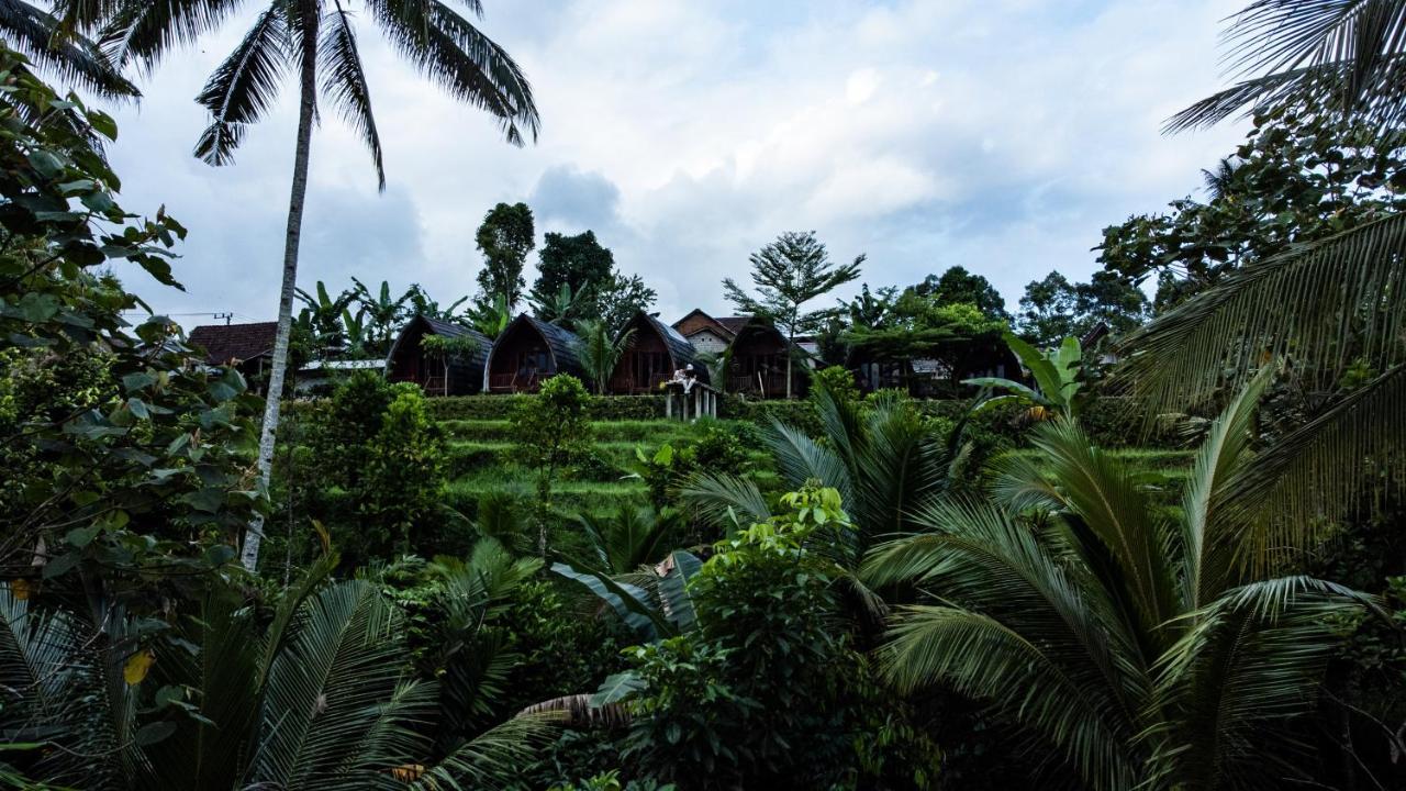 Hotel Omah Bapak Ijen Eco House Licin Exterior foto