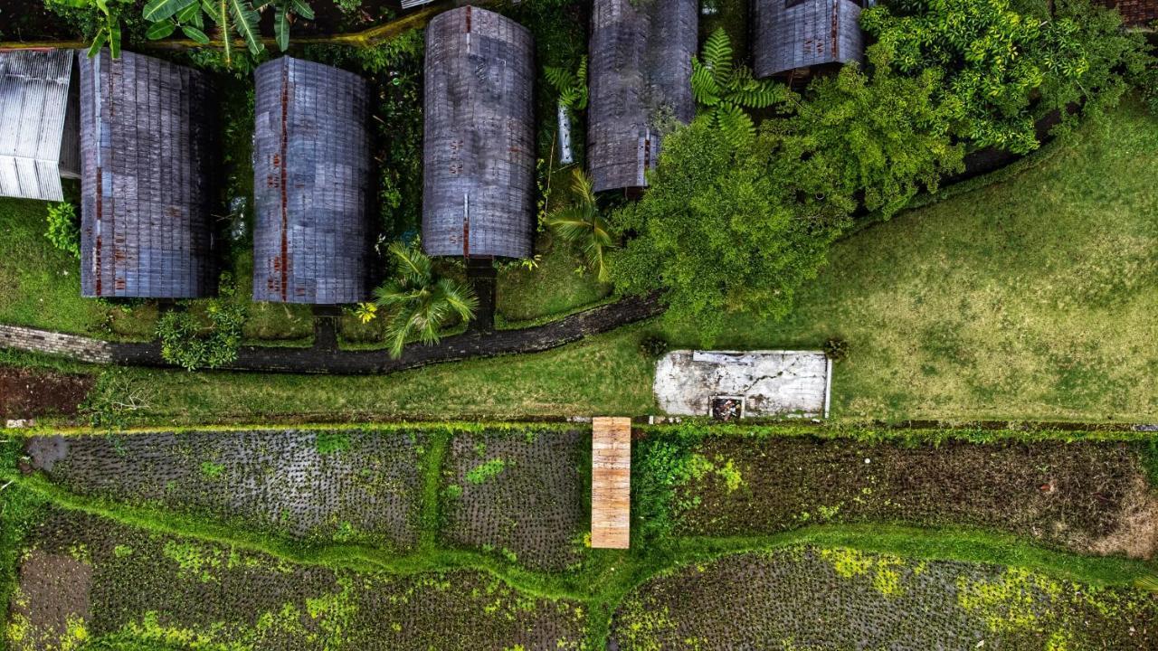 Hotel Omah Bapak Ijen Eco House Licin Exterior foto