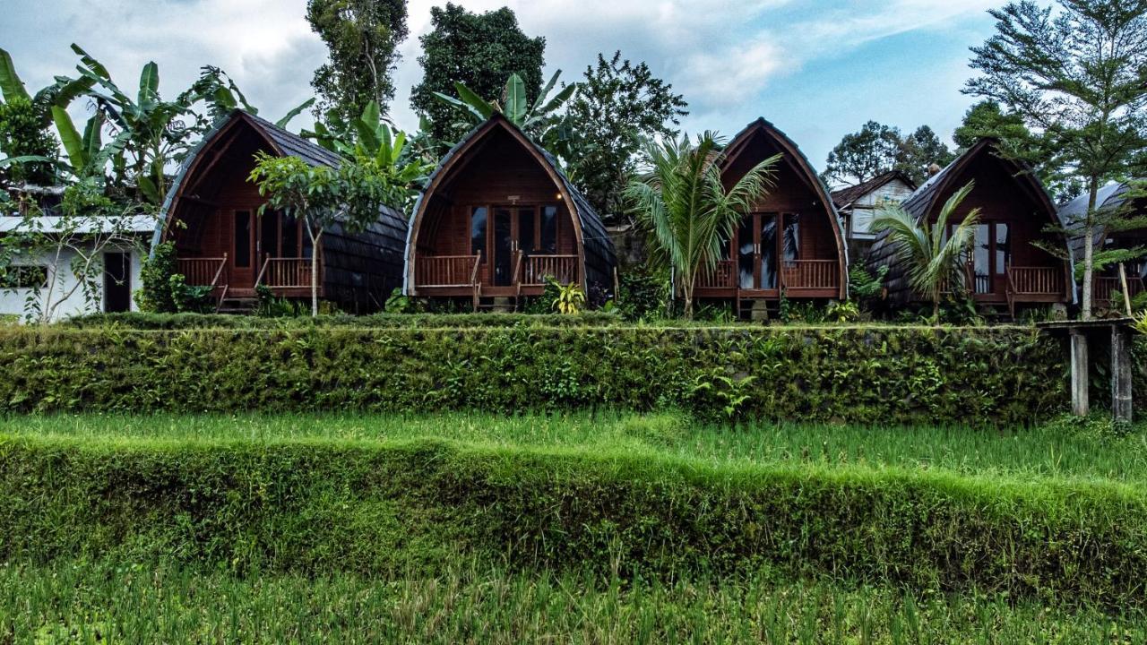 Hotel Omah Bapak Ijen Eco House Licin Exterior foto